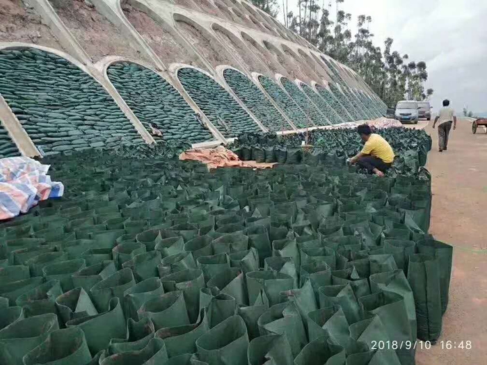 生态袋