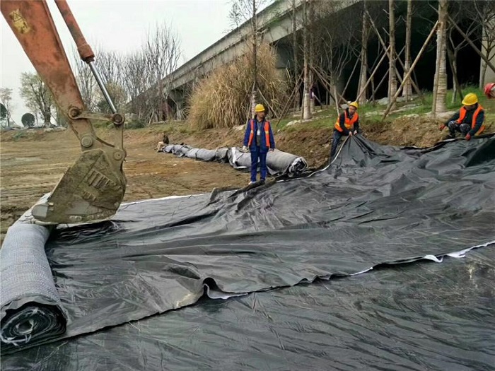针刺覆膜法钠基膨润土防水毯