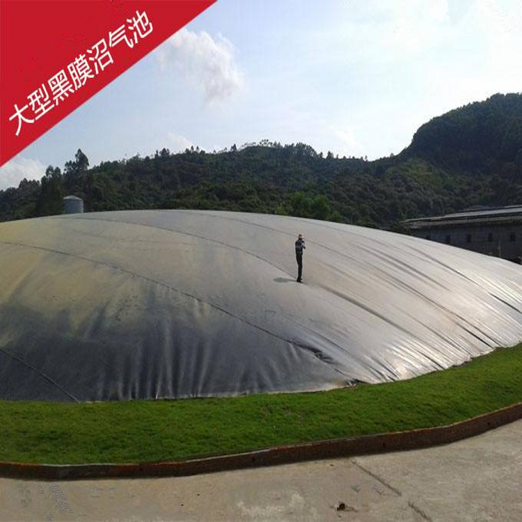 养猪场沼气池该用什么样的防渗膜？