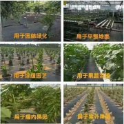 防草布的特点