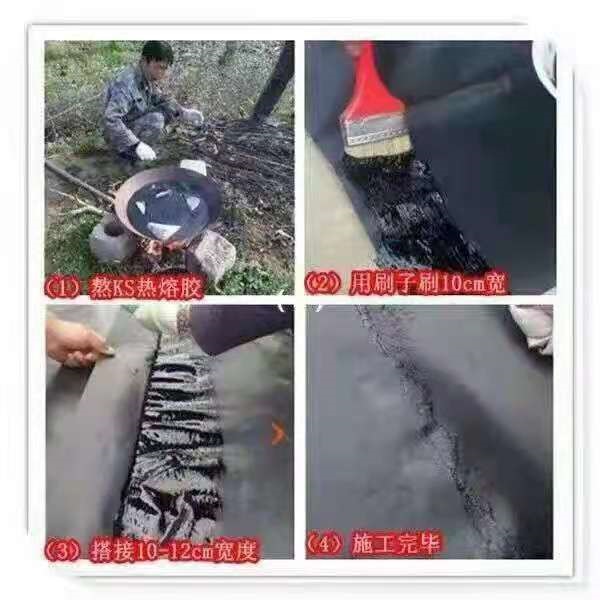 微信图片_20210518082753.jpg