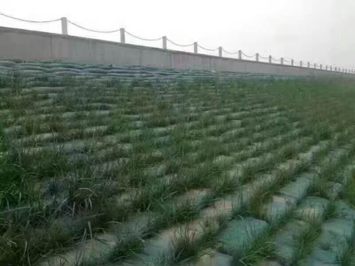生态袋的介绍