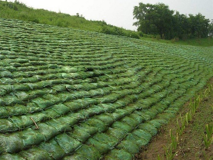 护坡还是用植生袋