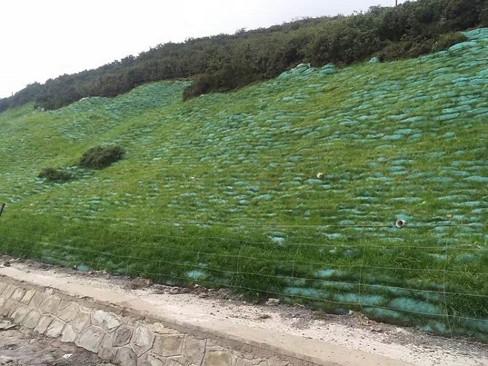 植生袋的介绍